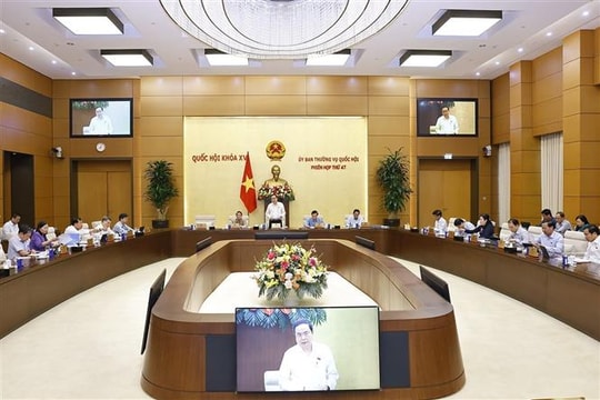 Cử tri và nhân dân đồng thuận cao với chủ trương sắp xếp đơn vị hành chính