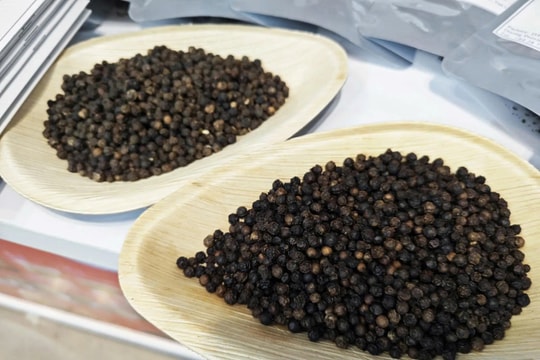 Giá tiêu hôm nay 11/7: Một địa phương giảm nhẹ, kỳ vọng xuất khẩu vẫn giữ cao