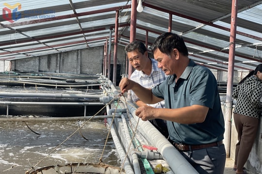 Giữa vùng đất từng chỉ biết trồng cấy mưu sinh, giờ đây nông dân Quảng Ninh đang hái trái ngọt từ mô hình "độc - lạ - hay", trúng mùa lợi nhuận lên đến cả tỷ đồng/năm