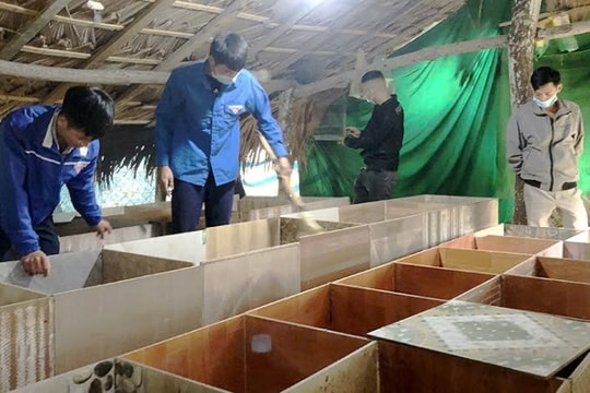 Nuôi những loài chỉ thấy trong rừng, người nông dân Hà Nội đang thay đổi cách làm giàu, mang về nguồn thu nhập dồi dào