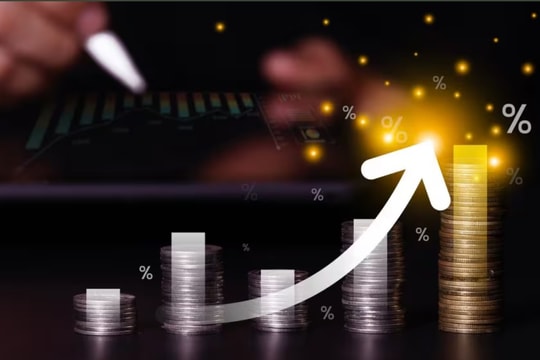 Quỹ mở bùng nổ lợi nhuận, “cá mập” thắng lớn giữa giai đoạn TTCK biến động