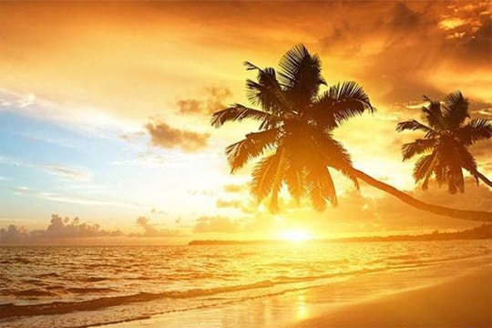 Infographic: Thông tin chi tiết về 13 đặc khu của Việt Nam sau sáp nhập