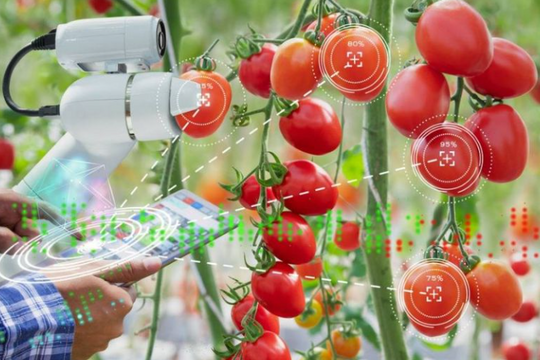 Ngành học đang "khát" nhân lực nhất Việt Nam, điểm chuẩn chỉ từ 16, thu nhập lên tới 3000 USD/tháng