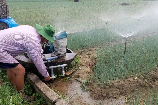 Nắng 40 độ cũng không ngăn nổi ý chí làm giàu, nông dân Nghệ An phủ kín cánh đồng bằng thứ "độc đáo", thành công mang lại vô cùng bất ngờ