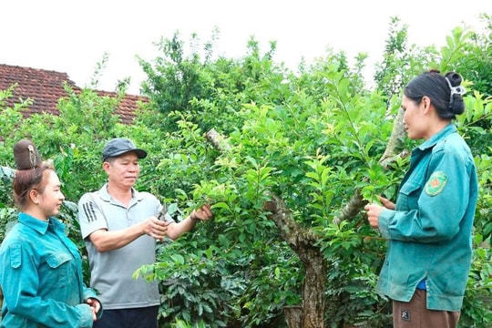 Nông dân Sơn La bắt nhịp thời đại, làm giàu từ những mô hình "có 1 không 2", thu về hàng trăm triệu đồng mỗi năm