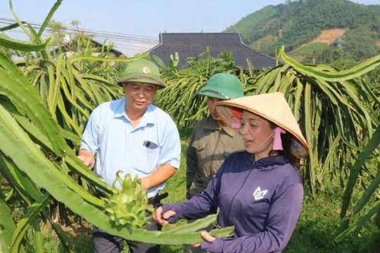 Người nông dân đặc biệt của Hà Giang, tìm ra con đường thoát nghèo cho vùng quê, tự mình một mô hình kiếm đến 300 triệu/năm