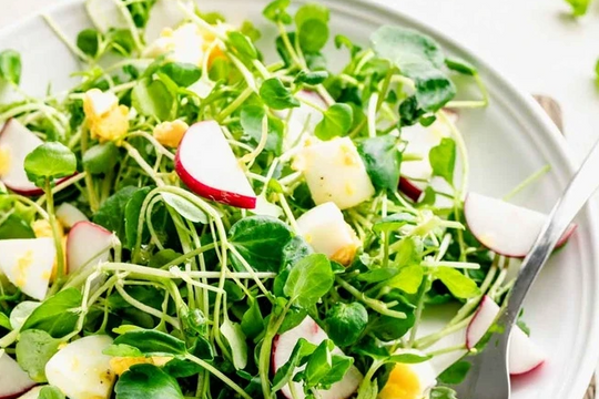 Loại rau được Mỹ vinh danh là "tốt nhất thế giới": Gieo một lần, ăn quanh năm, càng ăn càng khỏe