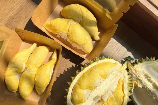 Giá sầu riêng hôm nay 16/7: Giá vườn giảm mạnh, chạm đáy 70.000 đồng/kg