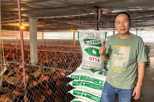 Nông dân Phú Thọ làm giàu theo công thức "sạch - chuẩn - bền vững", giờ nuôi tới hơn 100.000 con vật, thay đổi suy nghĩ cả vùng