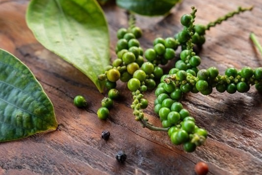 Dự báo giá tiêu ngày 18/7: Giữ đà hay hạ nhiệt sau cú điều chỉnh nhẹ?