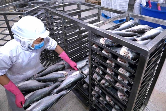 Cửa vào Mỹ rộng hơn với một doanh nghiệp thủy sản Việt Nam