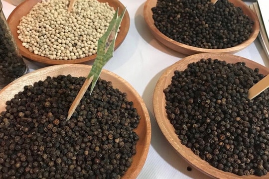 Giá tiêu hôm nay 18/7: Thị trường “án binh bất động”, thương lái tiếp tục nghe ngóng