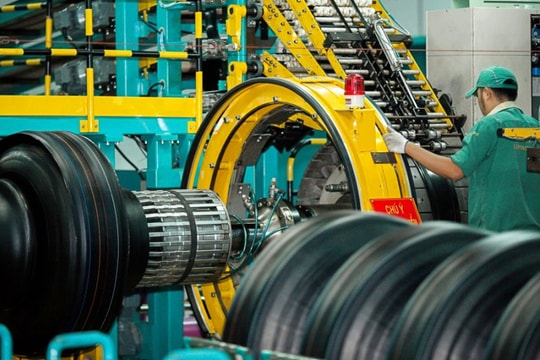 Lợi thế của Cao su Đà Nẵng (DRC) trước các đối thủ từ Trung Quốc và Thái Lan