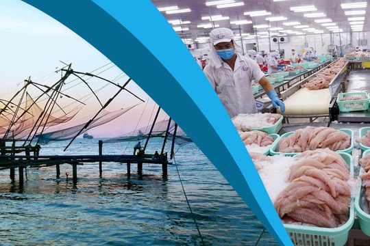 Ém thông tin, "Vua cá tra" nhận án phạt từ Ủy ban Chứng khoán Nhà nước