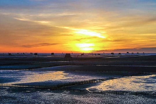 Cách Hà Nội 130km có một bãi biển mịn như nhung, lặng lẽ và rực rỡ hoàng hôn tím lịm giữa biển trời