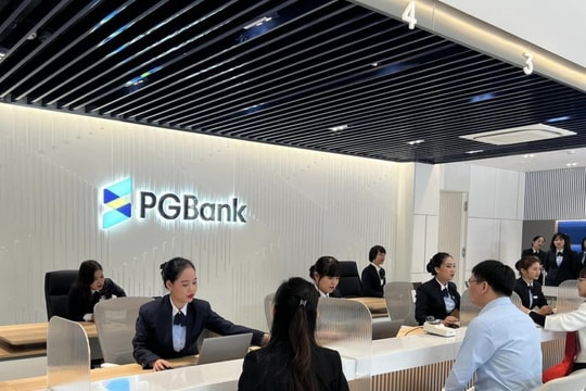 PGBank lên kế hoạch góp vốn vào công ty chứng khoán, bảo hiểm và quản lý quỹ