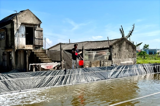 Nông dân Ninh Bình không “một mình một ao” mà áp dụng theo công thức mới, sản phẩm nào cũng gắn tem, doanh thu đạt 600 triệu đồng/năm