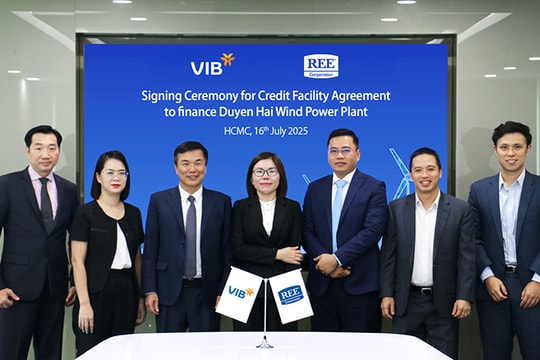 REE nhận tài trợ nghìn tỷ từ VIB cho dự án điện gió chiến lược tại cửa ngõ Đồng bằng sông Cửu Long