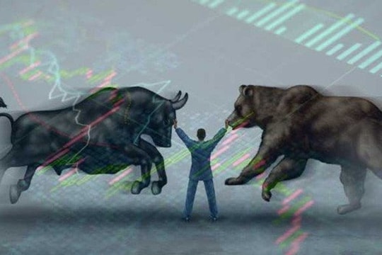 "Bão hòa" thông tin, thị trường bước vào giai đoạn phân hóa