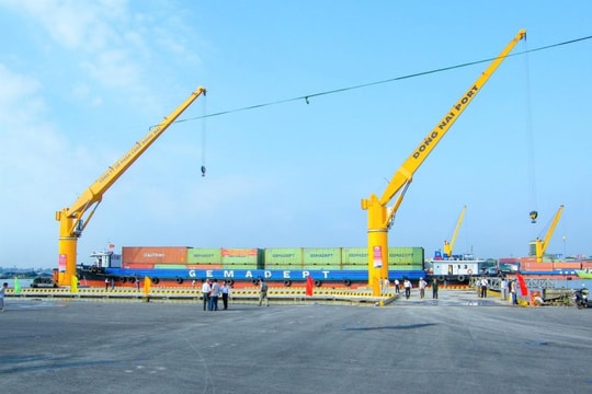 Cảng Đồng Nai lãi tiền tỷ mỗi  ngày, có hàng trăm tỷ đồng gửi ngân hàng