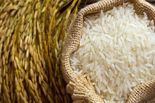 Giá lúa gạo hôm nay 22/7: Gạo nguyên liệu tăng mạnh, gạo xuất khẩu Việt Nam vượt Thái Lan và Ấn Độ