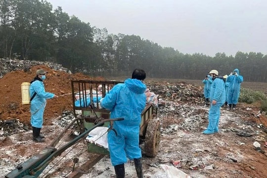 Dịch tả lợn châu Phi bất ngờ xuất hiện tại Thanh Hóa, người dân cần chú ý!