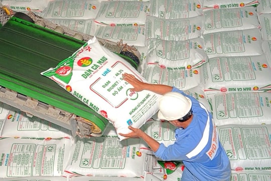 Tín hiệu cổ phiếu hôm nay: DCM hút tiền đầu phiên, cảnh báo điều chỉnh ngắn hạn