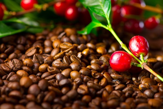 Cập nhật giá cà phê hôm nay 22/7: Đồng loạt giảm mạnh