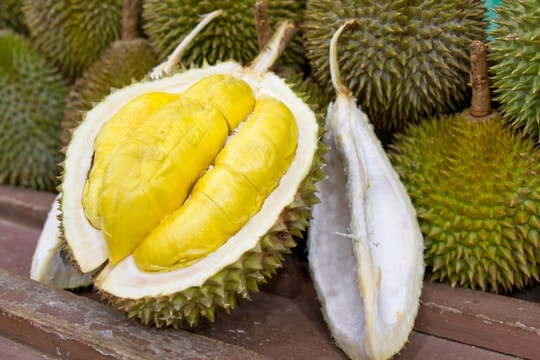 Giá sầu riêng hôm nay 24/7: Thái loại đẹp vẫn đắt hàng, Malaysia chuẩn bị tung giống mới