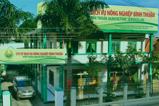 Chỉ một quý, đế chế phân bón, xăng dầu có tiếng ở Bình Thuận thổi bay khoản lợi nhuận chưa phân phối 74 tỷ đồng