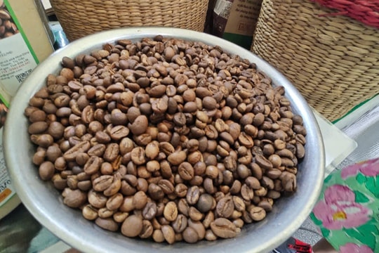 Giá cà phê hôm nay 25/7: Trong nước tiếp đà tăng, thế giới quay đầu giảm sâu