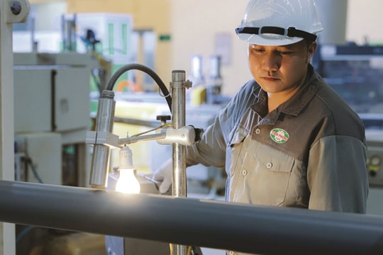 Nhựa Tiền Phong (NTP): Đỉnh cao lợi nhuận và phép thử mang tên thoái vốn nhà nước