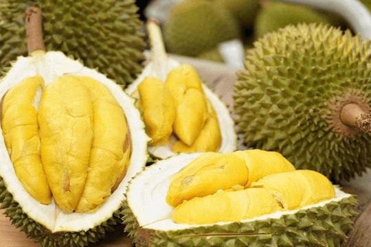 Giá sầu riêng hôm nay 25/7: Giá tại vườn thấp kỷ lục, trong khi xuất khẩu Malaysia tăng vọt