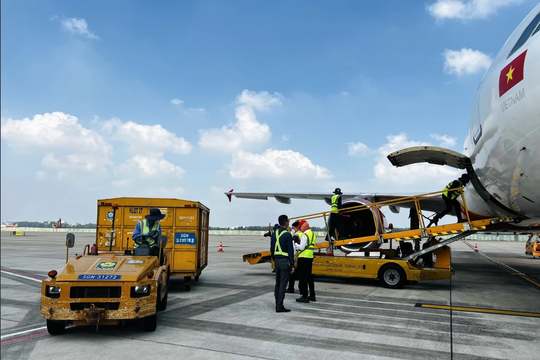 Không chỉ vì mất khách hàng lớn, bước đi đầu tiên tại sân bay Long Thành cũng đang khiến lợi nhuận SGN hụt hơi