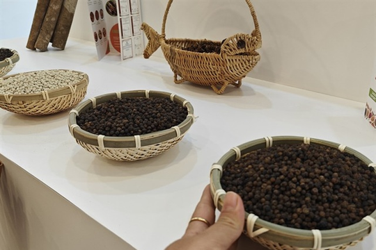 Giá tiêu hôm nay 25/7: Thị trường đi ngang, tiêu Indonesia tiếp tục tăng giá