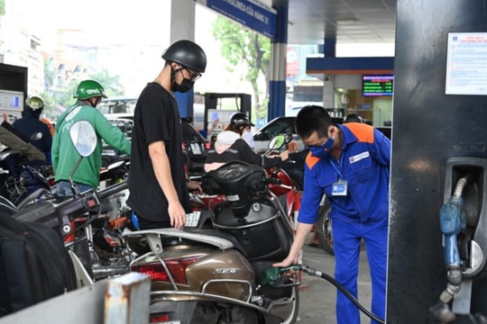 Giá xăng dầu hôm nay 25/7: Xăng giảm nhẹ, dầu đảo chiều tăng