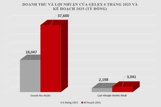 Quý 2, GELEX lãi kỷ lục nhờ tăng trưởng hoạt động kinh doanh lõi