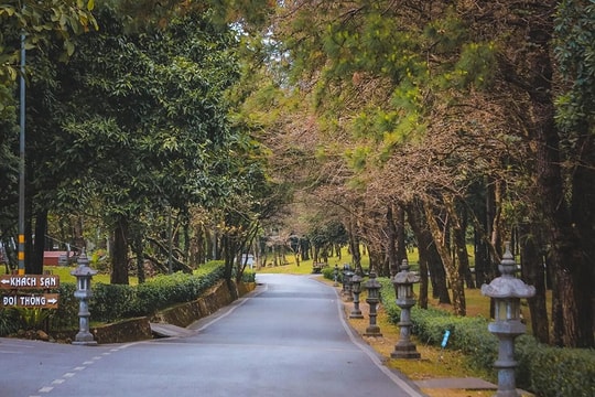 Du lịch Ba Vì 2 ngày 1 đêm: Tôi leo qua mây, ngâm mình trong suối và lặng nghe rừng thở