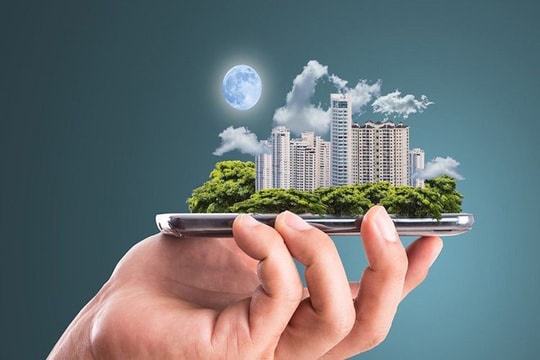 PDR tím trần dẫn sóng cổ phiếu bất động sản, DIG và CEO không đứng ngoài