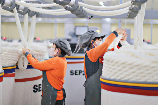 Chuỗi có lãi 3 quý liên tiếp của Sợi Thế Kỷ (STK) đã dừng lại