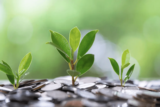 Lịch trả cổ tức bằng tiền của 5 doanh nghiệp, cao nhất lên tới 20%