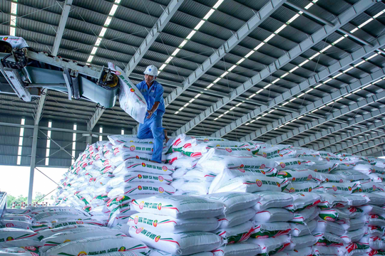 Ngành phân bón vào mùa bội thu, Đạm Cà Mau báo lãi cao nhất 10 quý