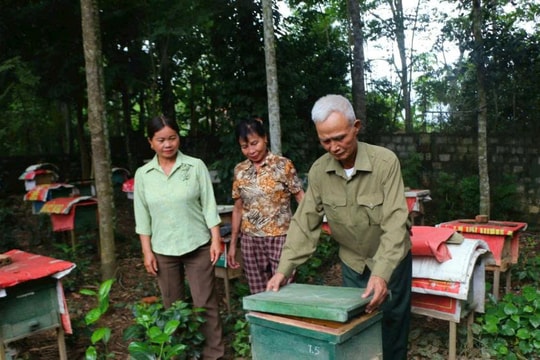 Không ồn ào nhưng hiệu quả, nông dân Nghệ An âm thầm xây mô hình đặc biệt, đưa thứ "tinh túy" vươn xa từ vùng trũng, ai nấy đều có thu nhập cao