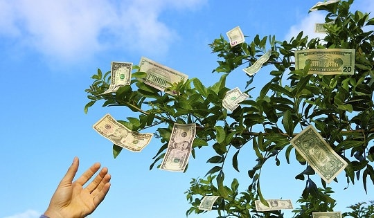 Lịch trả cổ tức bằng tiền của 7 doanh nghiệp, cao nhất lên tới 25%