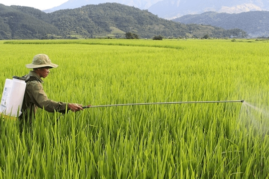 Doanh nghiệp khử trùng lớn nhất Việt Nam bị xử phạt hơn 5,7 tỷ đồng vì sai phạm thuế