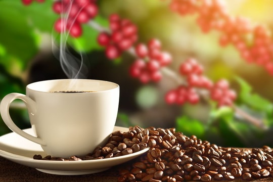 Cập nhật giá cà phê hôm nay 16/10: Giảm hàng loạt