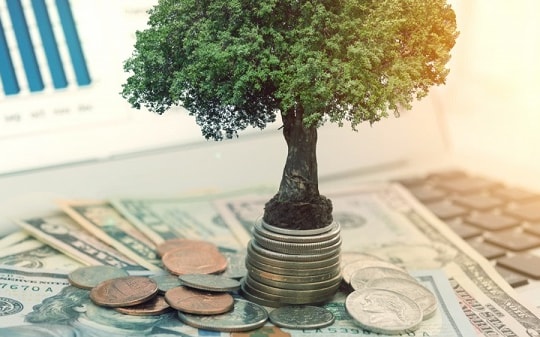 Lịch chốt quyền trả cổ tức tiền mặt tháng 8, cao nhất tới 20%