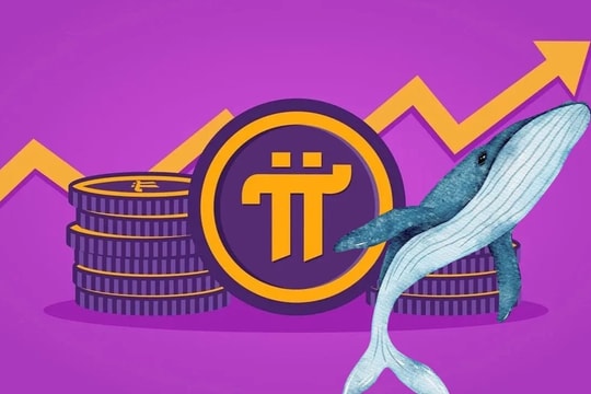 Giá Pi Network hôm nay 31/7: “Cá voi” tiếp tục gom mạnh