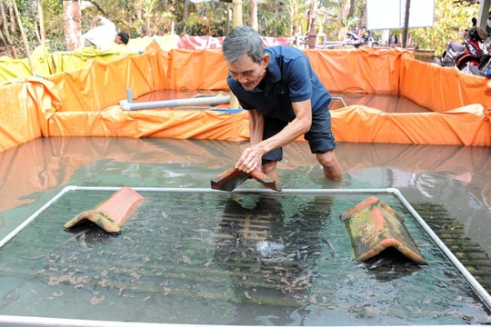 Nông dân An Giang chăm con vật "mềm oặt, trơn tuột", mở lối làm giàu mới, mang lại nguồn thu hàng trăm triệu đồng