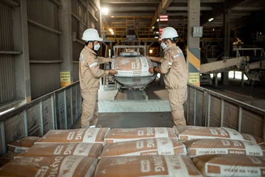 Doanh nghiệp chủ lực họ Vicem mỗi ngày lãi 1,24 tỷ đồng, có 900 tỷ gửi ngân hàng